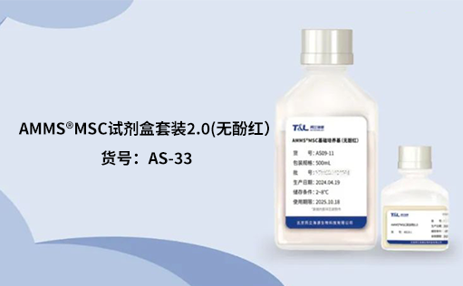 人间充质干细胞培养：挑战与应对之策