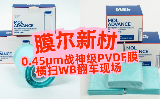 “膜”力加倍！膜尔新材战神级PVDF膜横扫WB翻车现场—0.45μm精准孔径狙杀各类蛋白，背景纯净如冰川
